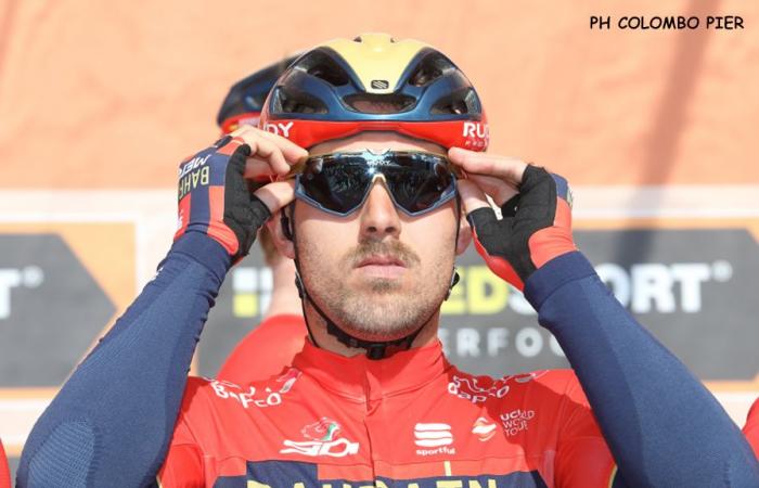 A Cobra está à espreita para novo ataque!