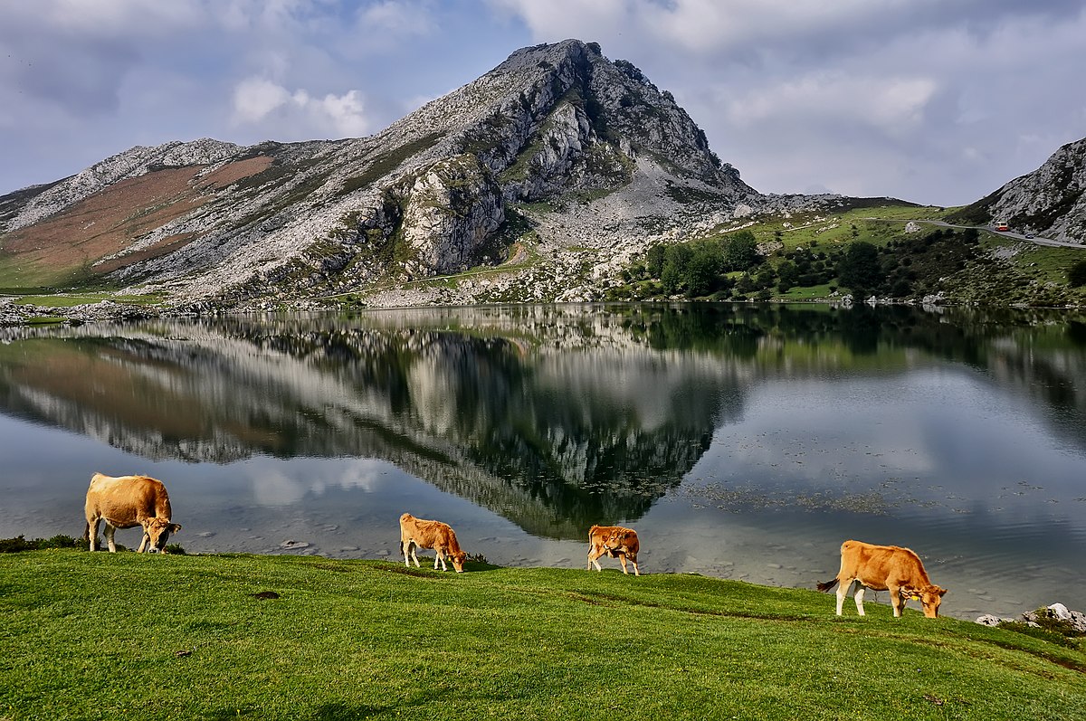 À conquista de Covadonga!