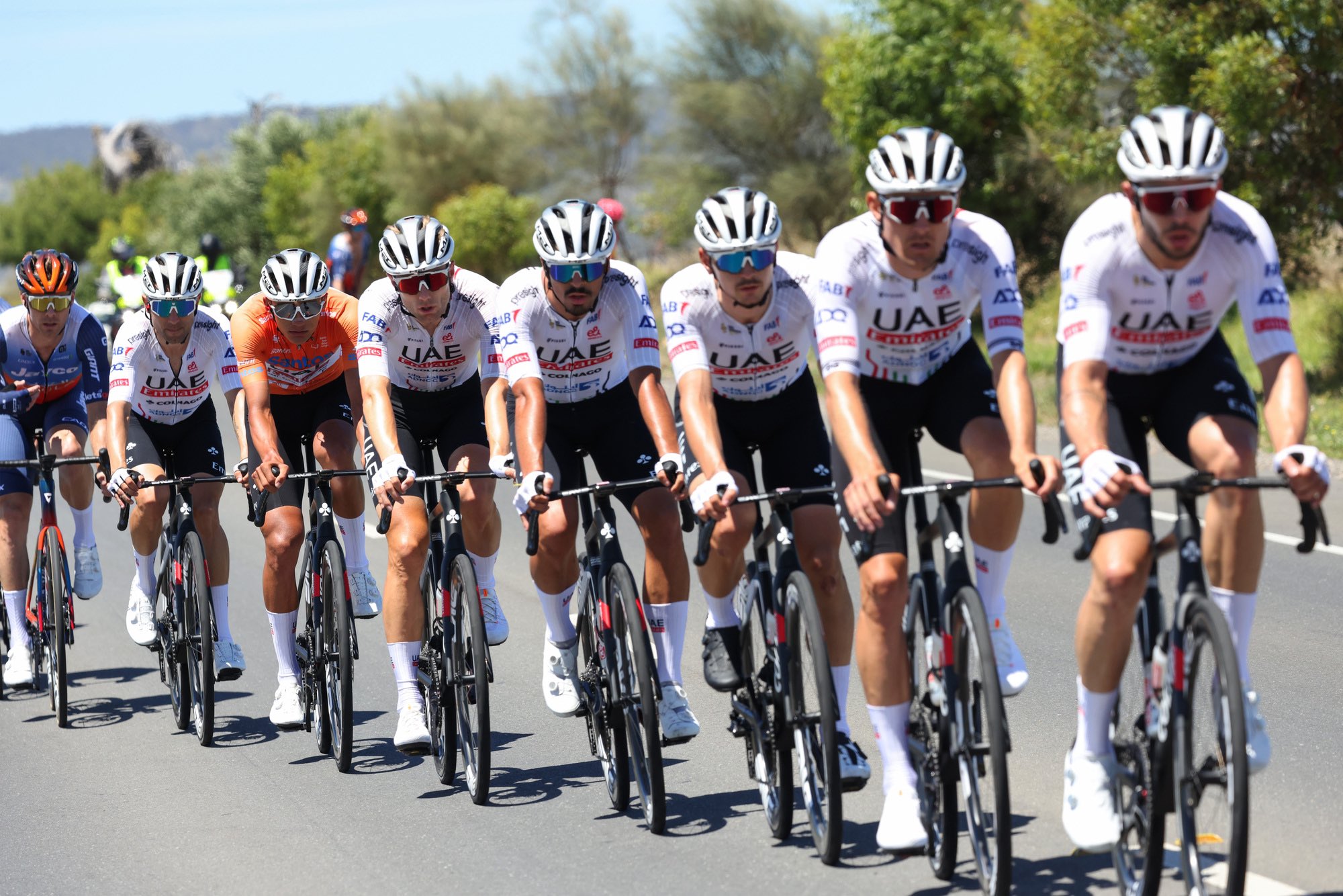 Os sete ciclistas da UAE Team Emirates neste Tour Down Under com António Morgado no centro (Foto: Sprint Cycling Agency)