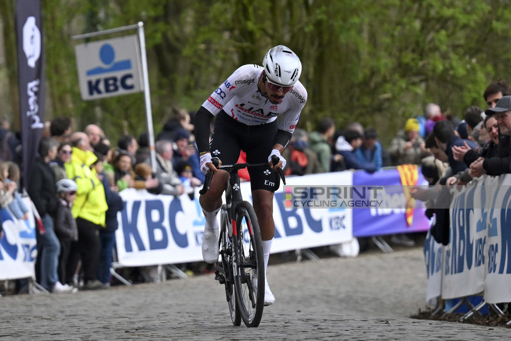 António Morgado conseguiu chegar no pelotão na Gent - Wevelgem (Foto: Ivan Benedetto/SprintCyclingAgency©2024)