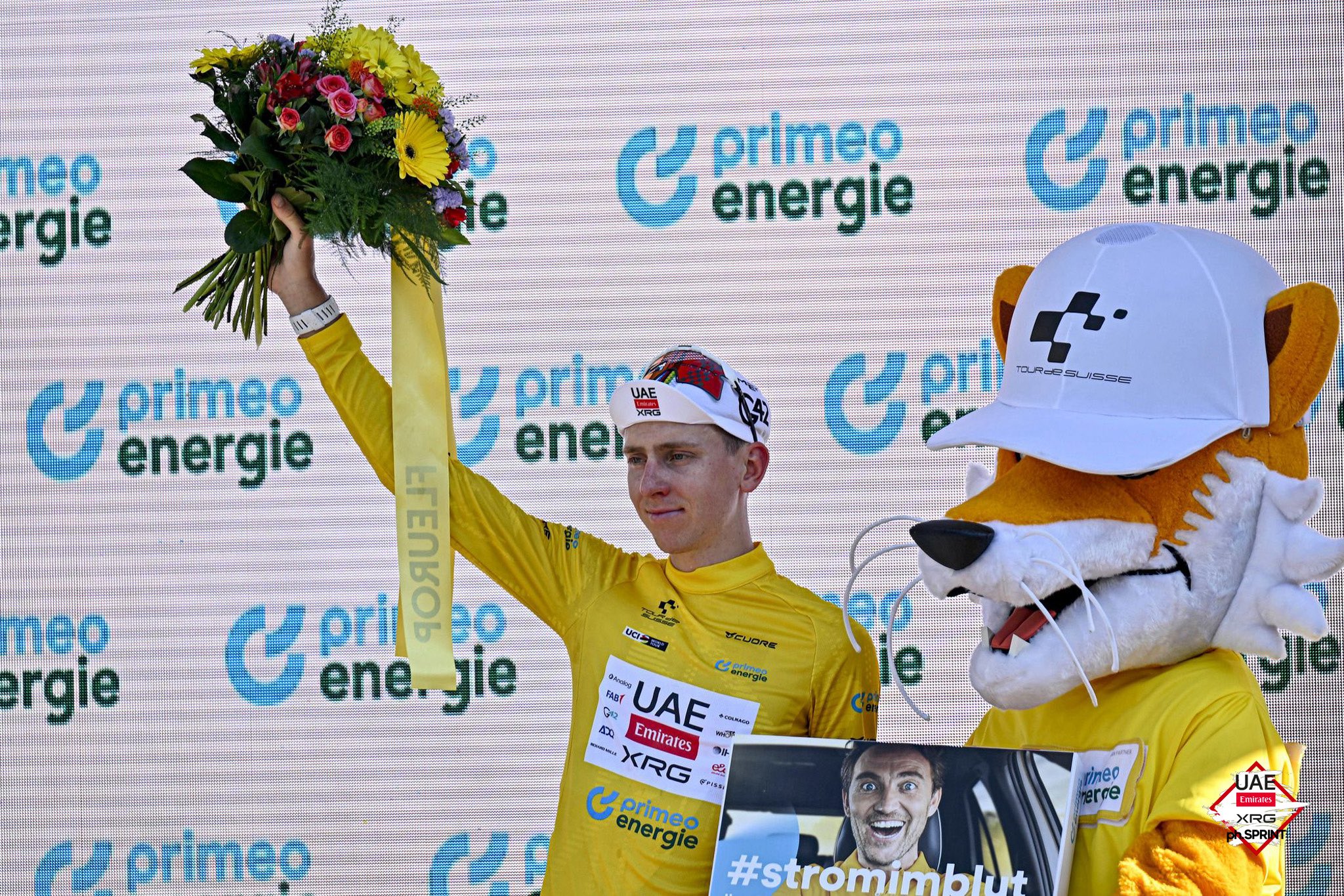 Tadej Pogacar segue o camisola amarela do Tour de Suisse (Foto: SprintCyclingAgency)