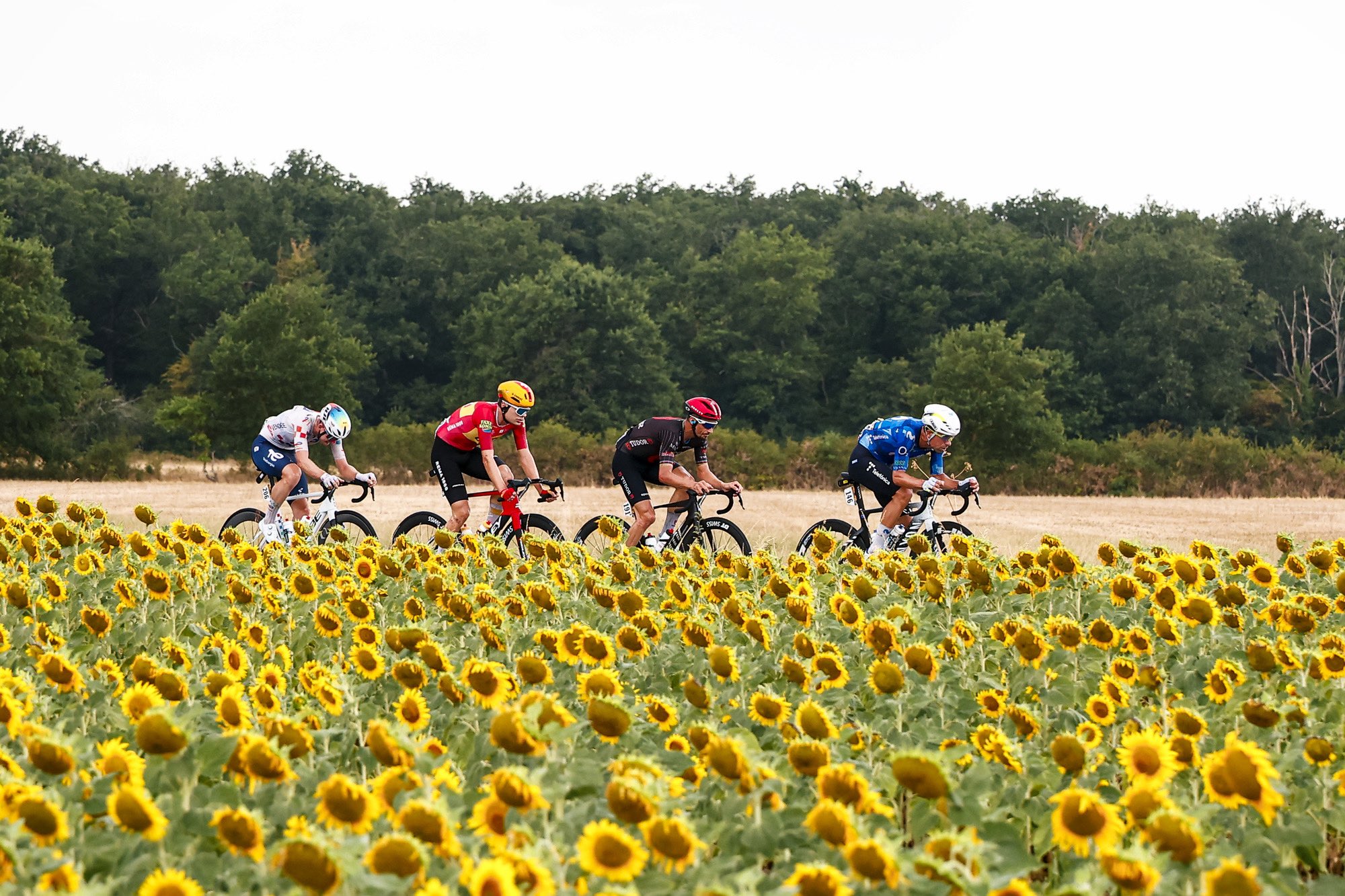 A fuga da etapa 11 do Tour de France com Mathis Le Berre, Anthon Charmig, Julian Alaphilippe e Nelson Oliveira (Foto: SprintCyclingAgency)